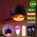 ペンダントライト 北欧風 【選べる特典付】ダクトレール式/引掛シーリング式共通 E26口金 LED電球付き 60W形相当 調光調色 リモコン付き 8.5W Wi...