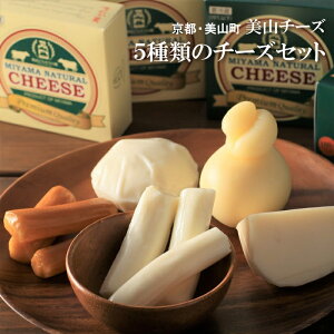 【国産チーズ】マツコ絶賛など！日本で生産された美味しいチーズのおすすめは？