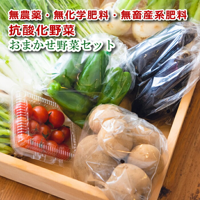 無農薬野菜セット 【産地直送】 相