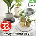 プランタブル L キャスター付 【送料無料】 tidy 植木鉢トレー 日本製 鉢皿 台 観葉植物 トレイ 水受け 受け皿 らくらく移動 可動式 小物 園芸用品 プランター 便利グッズ 耐荷重 40kg ガーデニング リビング オフィス 玄関 インテリア おしゃれ かわいい 北欧 雑貨 ティディ