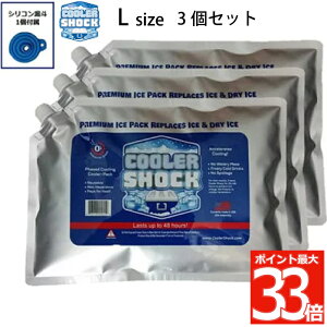保冷剤 長時間 保冷パック cooler shock set L 3個セット クーラーショック 強力保冷剤 アイスパック 氷点下 長持ち 保冷 ジェル クーラーパック クーラーボックス クーラーバッグ 繰り返し使え -7.8℃ アウトドア キャンプ バーベキュー レジャー 釣り 災害 夏