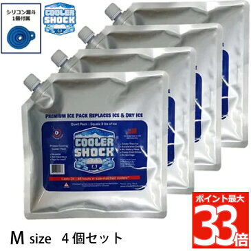 【送料無料】cooler shock set M 4個セット クーラーショック 保冷剤 | アイスパック 保冷 長時間 氷点下 ジェル クーラーパック 保冷パック クーラーボックス クーラーバッグ ランチボックス コンパクト 医療用技術 雑貨 アウトドア キャンプ 登山 バーベキュー 夏 ギフト