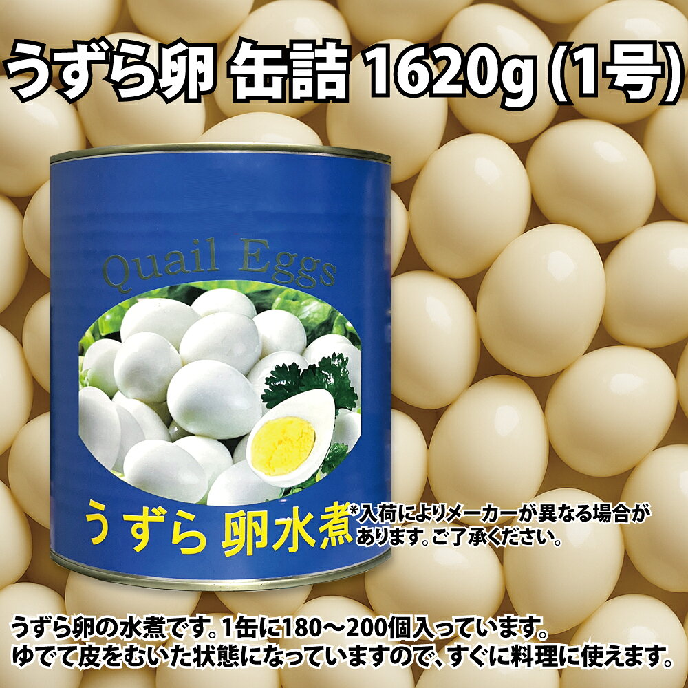 うずら卵 缶詰 1620g (1号) ゆでて皮をむいた状態 メチュリアルジョリム