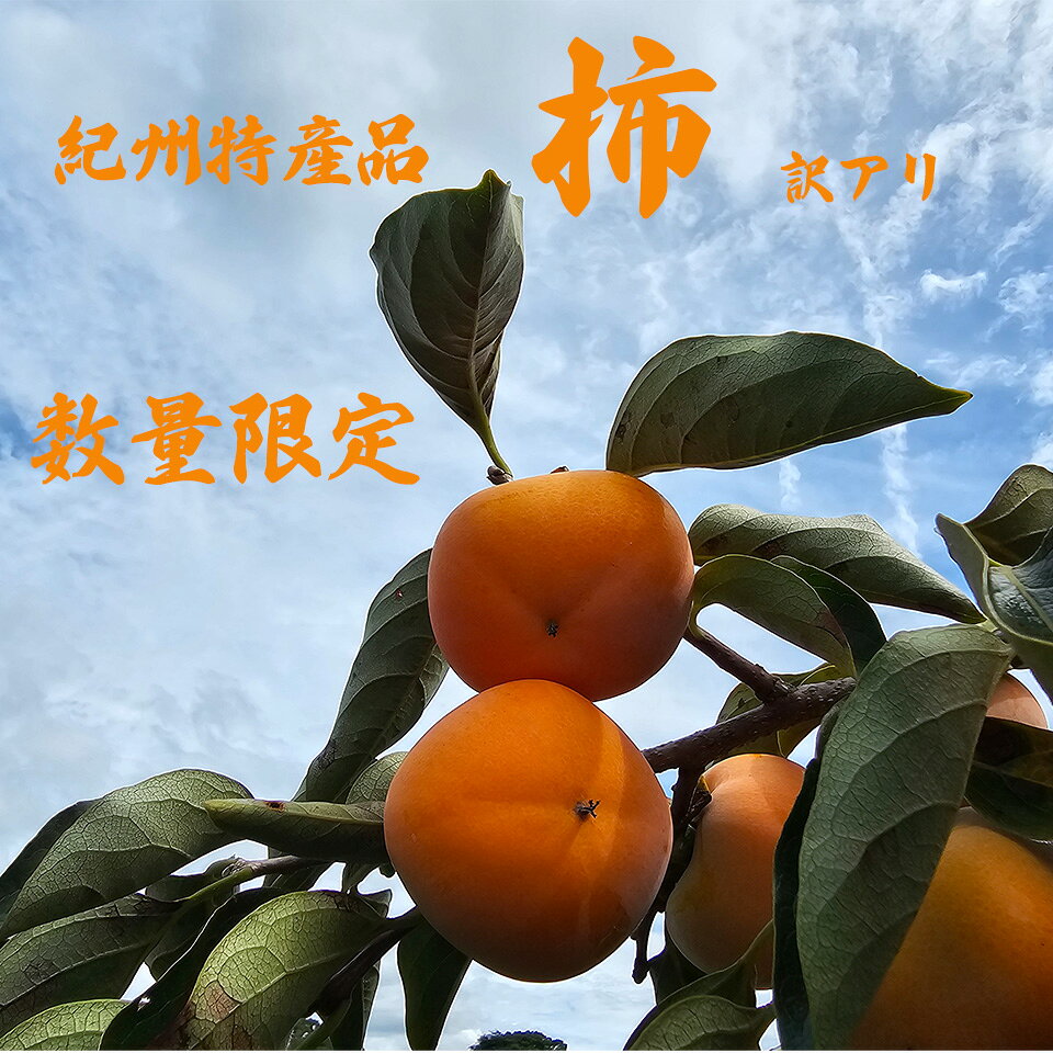 商品情報品種9月初旬～・堀内早生：登園では一番早く収穫できる柿になります。やや甲高で食べ応えのある品種になります。果皮は黄橙色、果肉は黄色で、種子はありません。ビタミンCやカリウムを豊富に含み、健康的な果物としても評価されています 。・中谷早生：果皮は黄橙色、果肉は黄色で、種子はありません。果肉は緻密でやや柔らかくビタミンCやカリウムを豊富に含み、健康的な果物としても評価されています。 9月中旬～　刀根早生：秋の味覚本格的に楽しめる品種になります。果実にはビタミンCやカリウムが豊富に含まれ、美容、健康に最適です。サイズ感果実重量約100～200g程度のものになります。2キロで10～20玉程度入ります。※目安です。ご注意渋抜きしてありますが、届いてすぐは渋みが残っていることがあります。その際は二日ほど常温にて保管していただくと渋みは抜けてきます。日付指定不可　わけあり　柿　発送は9月初旬頃 柿　早生柿　渋抜き済　すぐ食べれます 5