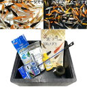 初心者セット～ミックス～ 10匹 観賞魚 生体 改良メダカ アクアリウム 成魚 ミックス メダカ めだか めだかの館