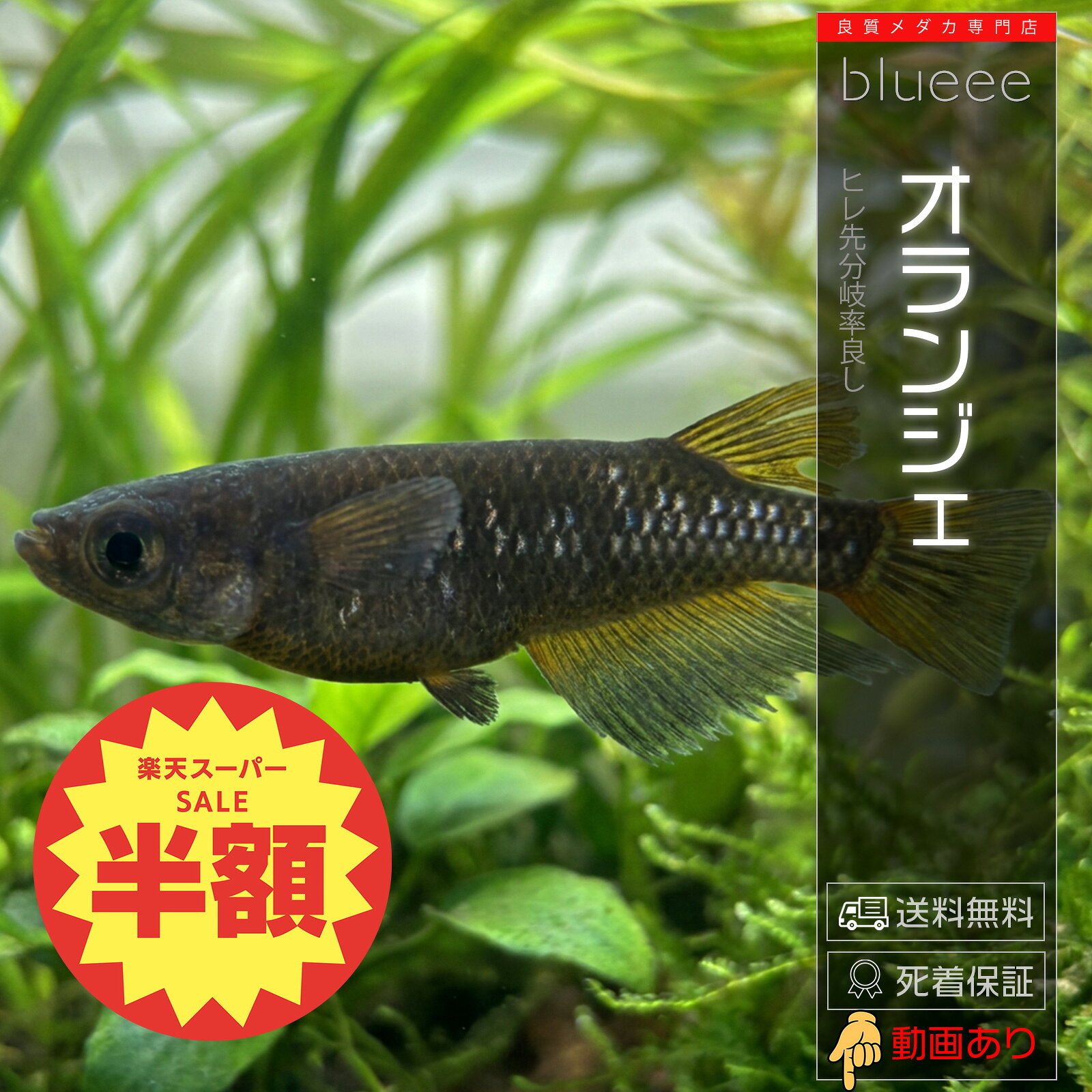 商品画像3