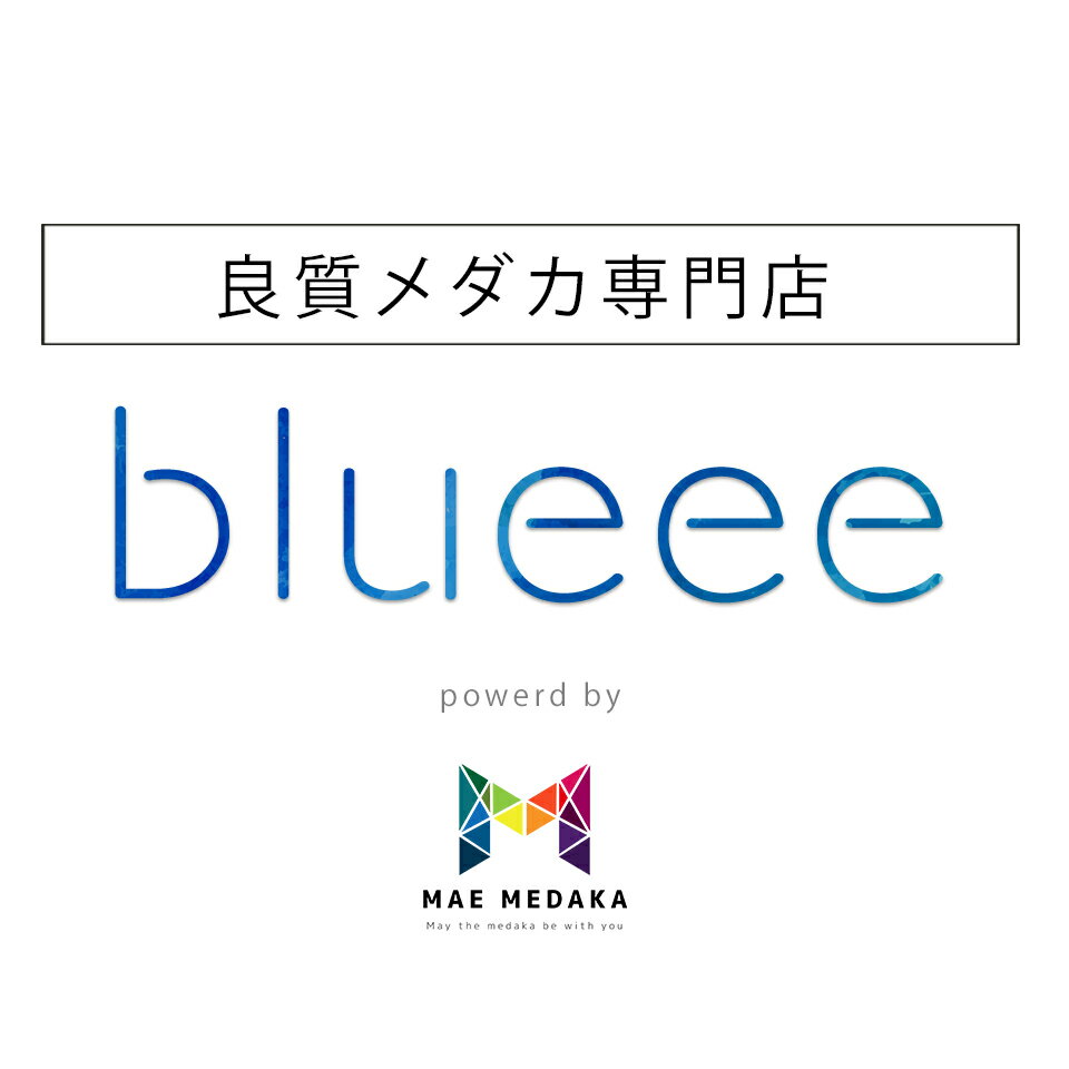 良質メダカ専門店 blueee