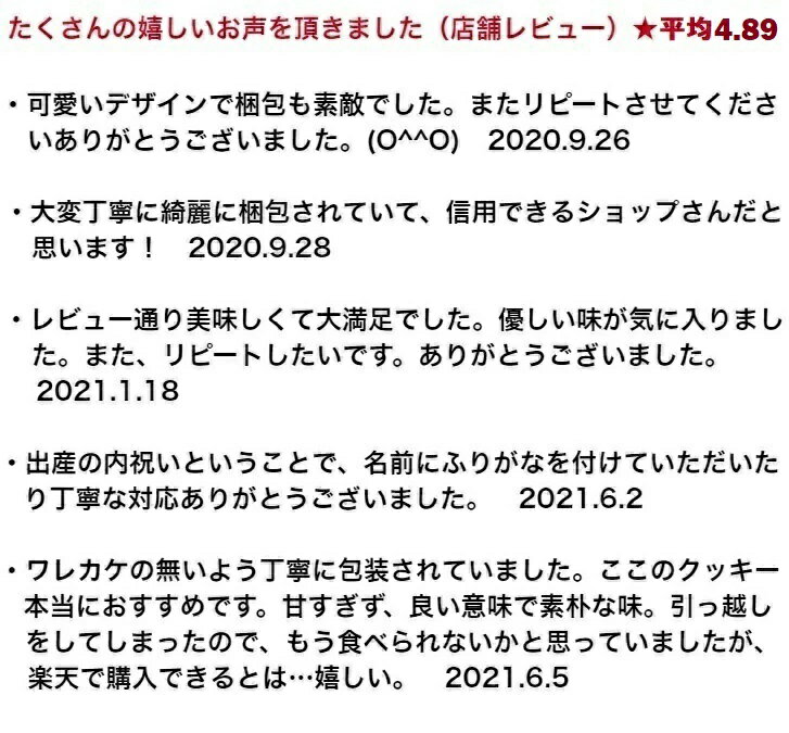 ポイント5倍 残暑見舞い クッキー 詰め合わせ 送料無料 クッキーセットL（100枚以上 合計550g) 手作り ギフト 焼き菓子 洋菓子 内祝い サクサク おしゃれ かわいい お菓子 美味しい 贈り物 手土産 産休 御礼 挨拶 菓子折り 子供 たくさん スイーツ チョコチップ