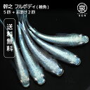 商品画像1