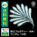 幹之フルボディー 成魚 ランダム 10匹 +おまけ補償2匹 送料無料 卵 水槽 メダカ生体 めだか生体 めだか メダカ 生体 ラメ 販売 観賞魚 販売生体 品種 種類 セット 人気 水草 メダカ卵 容器