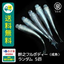 幹之フルボディー 成魚 ランダム 5匹 +おまけ補償1匹 送料無料 卵 水槽 メダカ生体 めだか生体 めだか メダカ 生体 ラメ 販売 観賞魚 販売生体 品種 種類 セット 人気 水草 メダカ卵 容器