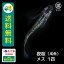 夜桜 成魚 メス 1匹 送料無料 卵 水槽 メダカ生体 めだか生体 めだか メダカ 生体 ラメ 販売 観賞魚 販売生体 品種 種類 セット 人気 水草 メダカ卵 容器