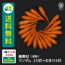 楊貴妃 成魚 ランダム 20匹 おまけ補償4匹 送料無料 卵 水槽 メダカ生体 めだか生体 めだか メダカ 生体 ラメ 販売 観賞魚 販売生体 品種 種類 セット 人気 水草 メダカ卵 容器