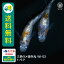三色ラメ体外光（WI-03） 若魚 1ペア 送料無料 卵 水槽 メダカ生体 めだか生体 めだか メダカ 生体 ラメ 販売 観賞魚 販売生体 品種 種類 セット 人気 水草 メダカ卵 容器