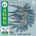 深海 若魚 ランダム 20匹 おまけ補償4匹 送料無料 卵 水槽 メダカ生体 めだか生体 めだか メダカ 生体 ラメ 販売 観賞魚 販売生体 品種 種類 セット 人気 水草 メダカ卵 容器