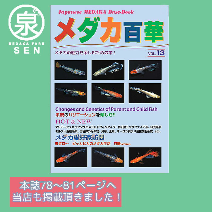 メダカ百華 第13号 発行 株式会社ピーシーズ メダカ生体 めだか生体 めだか メダカ 生体 ラメ 販売 観賞魚 販売生体 品種 種類 セット