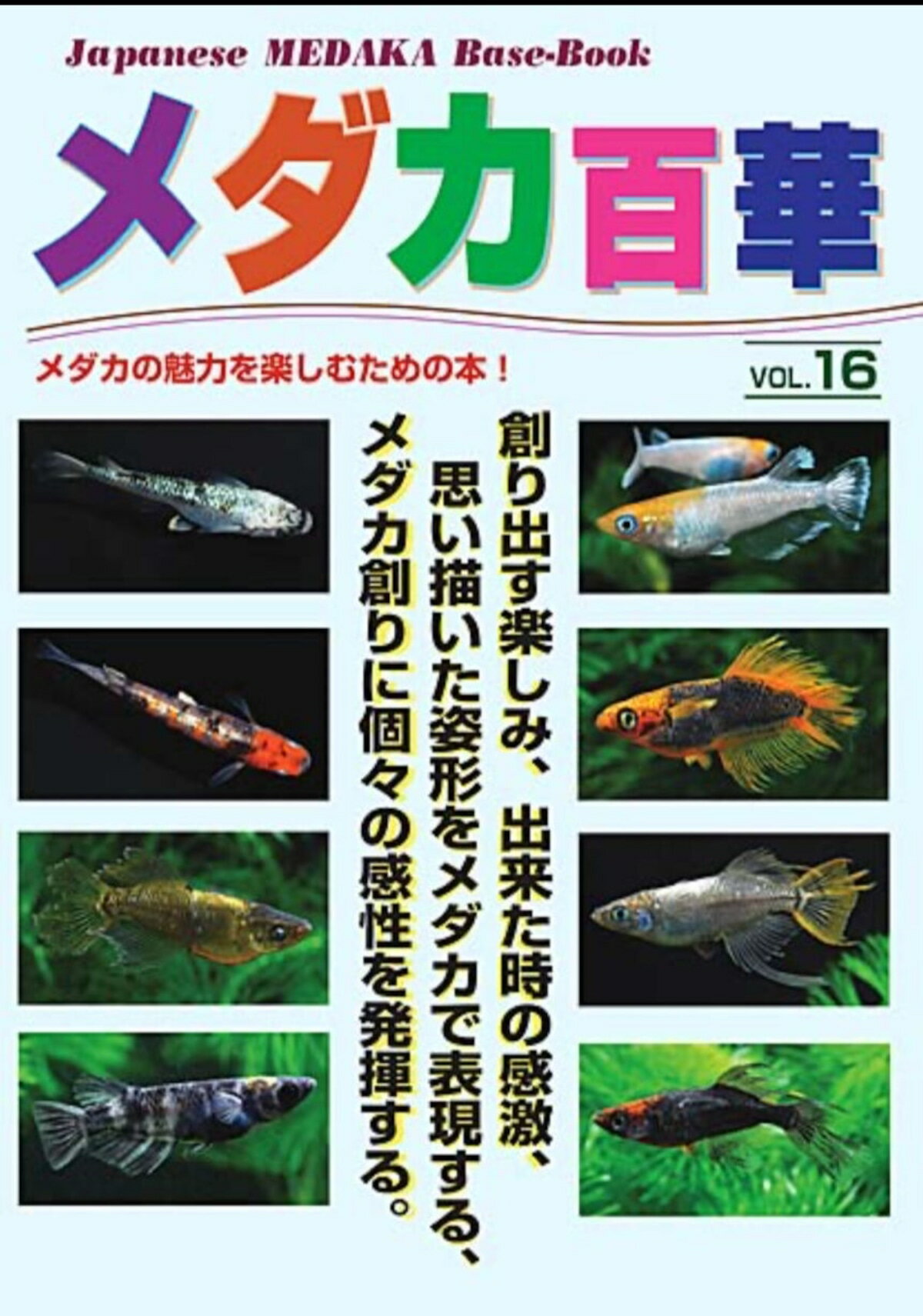 メダカ百華 第16号 発行 株式会社ピーシーズ メダカ生体 めだか生体 めだか メダカ 生体 ラメ 販売 観賞魚 販売生体 品種 種類 セット