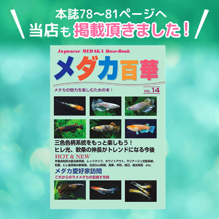 メダカ百華 第14号 発行 株式会社ピーシーズ メダカ生体 めだか生体 めだか メダカ 生体 ラメ 販売 観賞魚 販売生体 品種 種類 セット