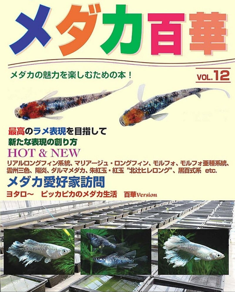 メダカ百華 第12号 発行 株式会社ピーシーズ メダカ生体 めだか生体 めだか メダカ 生体 ラメ 販売 観賞魚 販売生体 品種 種類 セット