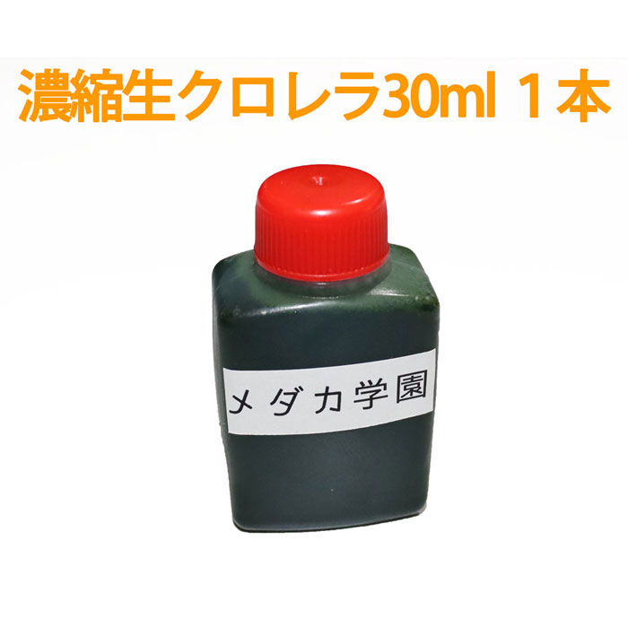 濃縮生クロレラ原液 30ml 1本 生クロレラ水 グリーンウォーター