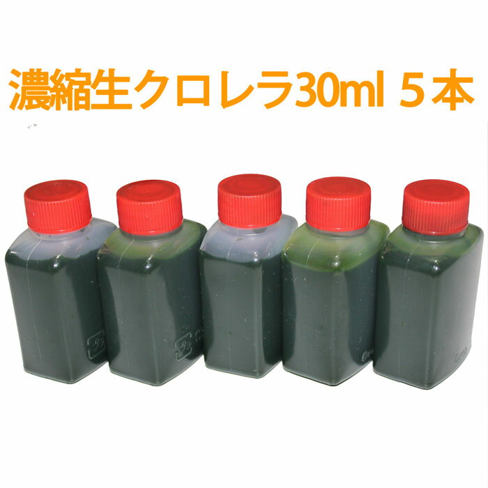 濃縮生クロレラ原液 30ml 5本 （合計150ml）生クロレラ水 グリーンウォーター