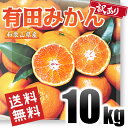 訳あり) 有田みかん 10kg 和歌山県産 送料無料！(北海道、沖縄県除く) / 10月中旬よ...