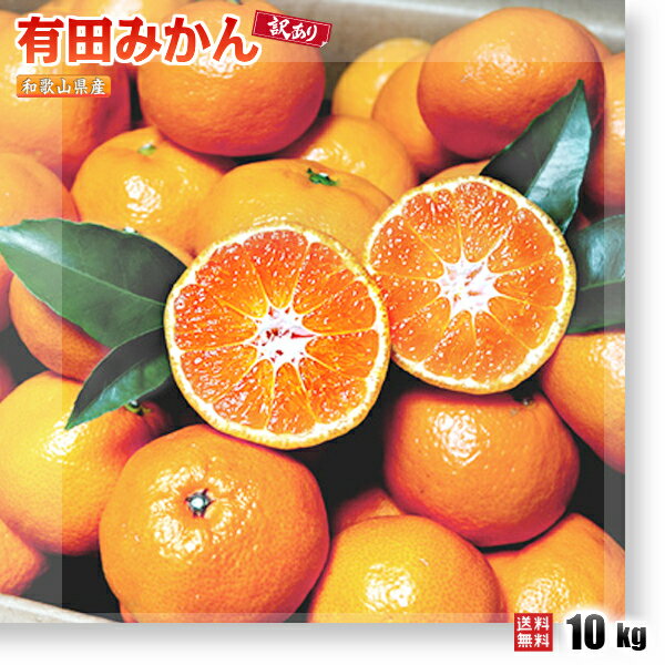 有田みかん 訳あり 10kg 和歌山県産 送料無料(北海道、沖縄県、東北地方除く) ミカン みかん 蜜柑 ご自宅用 温州みかん 家庭用 果物 柑橘 産地直送 食品 健康 健康維持 冬 ビタミン 風邪 予防 ジューシ— 採れたて 年越し 年末 帰省 こたつ