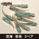 【送料無料】養魚場直送! 深海 若魚3ペア medaka めだか メダカ 幹之 アクアリウム ビオトープ ユリシス 雲州 紅帝 メダカミックス レッドクリフ 深海 竜章鳳姿 丸玄