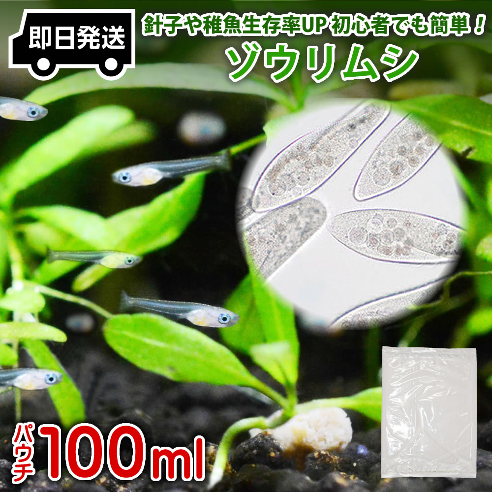 【送料無料】 即日発送 ゾウリムシ 100ml メダカの餌 針子 稚魚 餌 生き餌 エサ ぞうりむし ミジンコ みじんこ クロレラ めだか ヒメダカ 日の丸メダカ