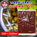 【超濃縮】PSB 光合成細菌 300-2000ml 水質改善 水質浄化 針子 稚魚 メダカ ヒメダカ ミジンコ ゾウリムシ 高濃度 濃縮 金魚 餌 ミナミヌマエ...
