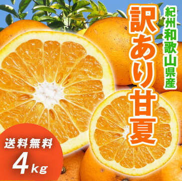 甘夏 4kg　和歌山県産　訳あり・ご家庭用 / あまなつ　送料無料（東北・北海道・沖縄県除く）【同梱不可・配達日指定不可】