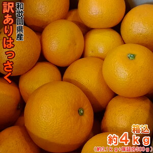 【早期予約価格】早生はっさく 4kg（箱込約4kg）和歌山県産　訳あり・ご家庭用 / 八朔　送料無料（東北・北海道・沖縄県除く）【同梱不可・配達日指定不可・12月中旬頃から順次発送開始予定】