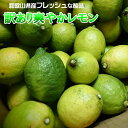 レモン 10kg（箱込約10kg　9kg＋保証分500g） 国産　訳あり・ご家庭用 / 檸檬　送料無料（東北・北海道・沖縄県除く）【同梱不可・配達日指定不可】