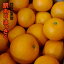 【数量限定セール 1kg=197円】はっさく 8kg 和歌山県産 訳あり・ご家庭用 / 八朔 送料無料(東北・北海道・沖縄県除く)【同梱不可・配達日指定不可】