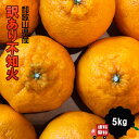 デコポンと同品種 しらぬい 不知火 5kg 和歌山県産 訳あ...