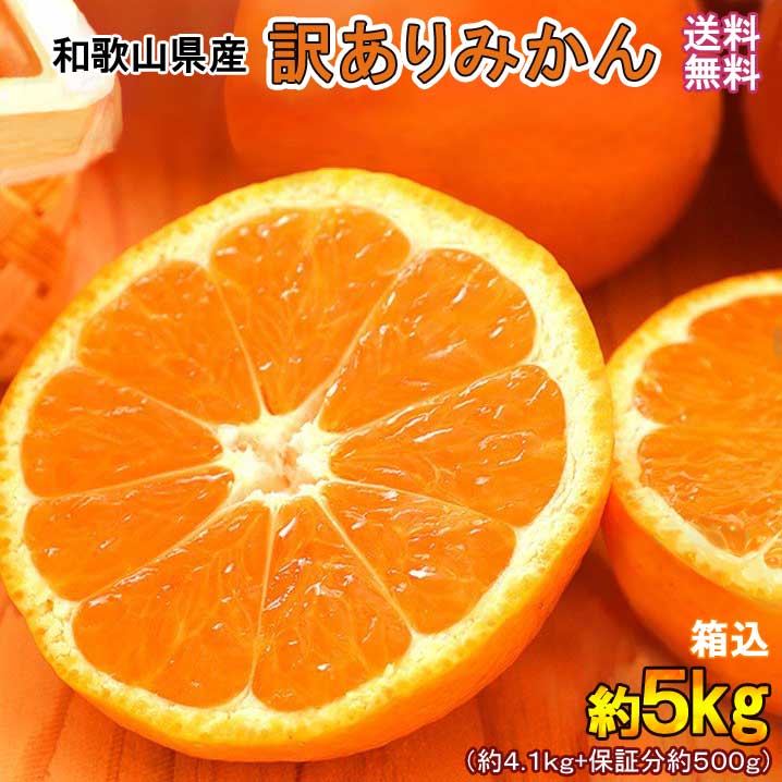 みかん 5kg(箱込約5kg)和歌山県産 訳あり・ご家庭用 送料無料(東北・北海道・沖縄県除く)【同梱不可・配達日指定不可】