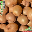キウイ 5kg(箱込約5kg)和歌山県産 訳あり・ご家庭用 送料無料(東北・北海道・沖縄県除く)【同梱不可・配達日指定不可】