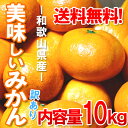 みかん 送料無料 10kg　和歌山県産　訳あり・ご家庭用　送料無料（北海道・沖縄県除く）【配達...