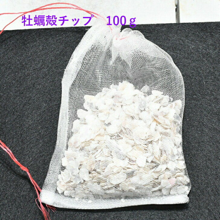 牡蠣殻チップ 100g 5個 メダカ 水質 アルカリ性 金魚 幹之 楊貴妃 熱帯魚 観賞魚 水槽 ろ材