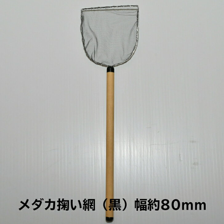 メダカ掬い網（黒）幅約80mm メダカ 幹之 楊貴妃 観賞魚 猫飯オリジナル