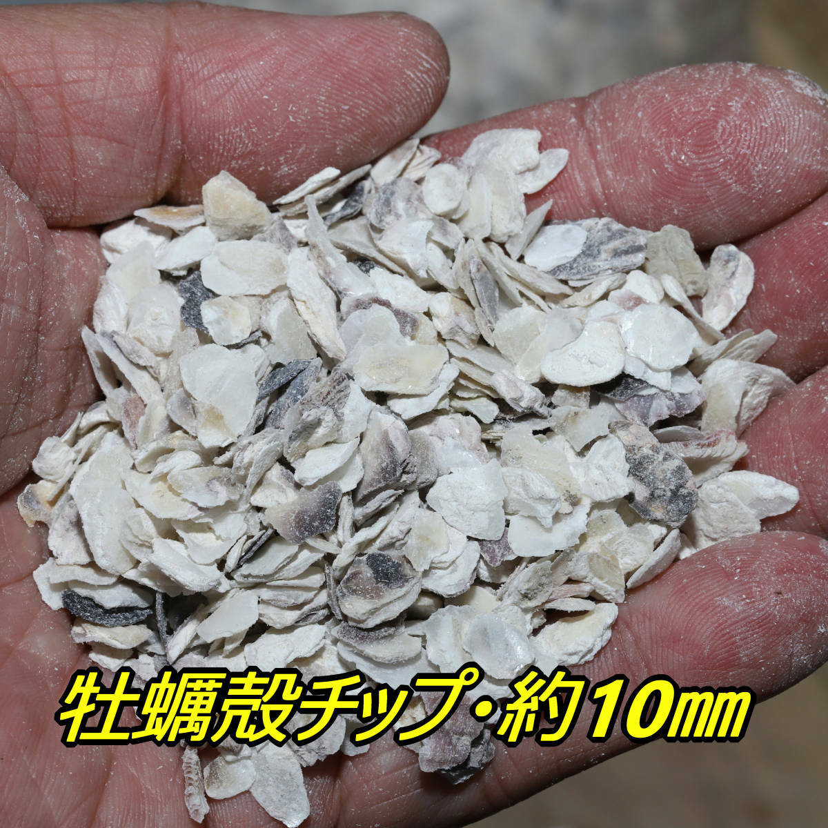 牡蠣殻チップ3kg メダカ 水質 アルカ