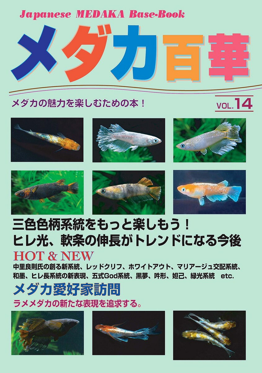メダカ百華Vol.14　メダカ 猫飯 幹之 楊貴妃 初心者