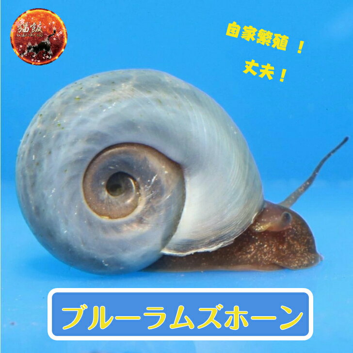֥롼ॺۡ5~10ߥ١10ɤ
