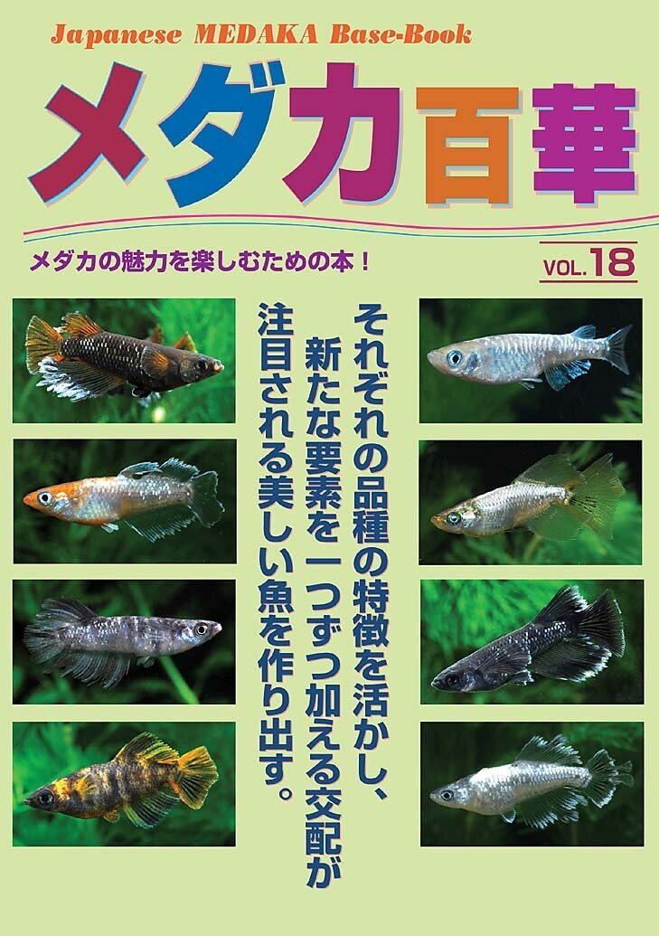 樂天商城 - メダカ百華Vol.18　メダカ 猫飯 幹之 楊貴妃 初心者