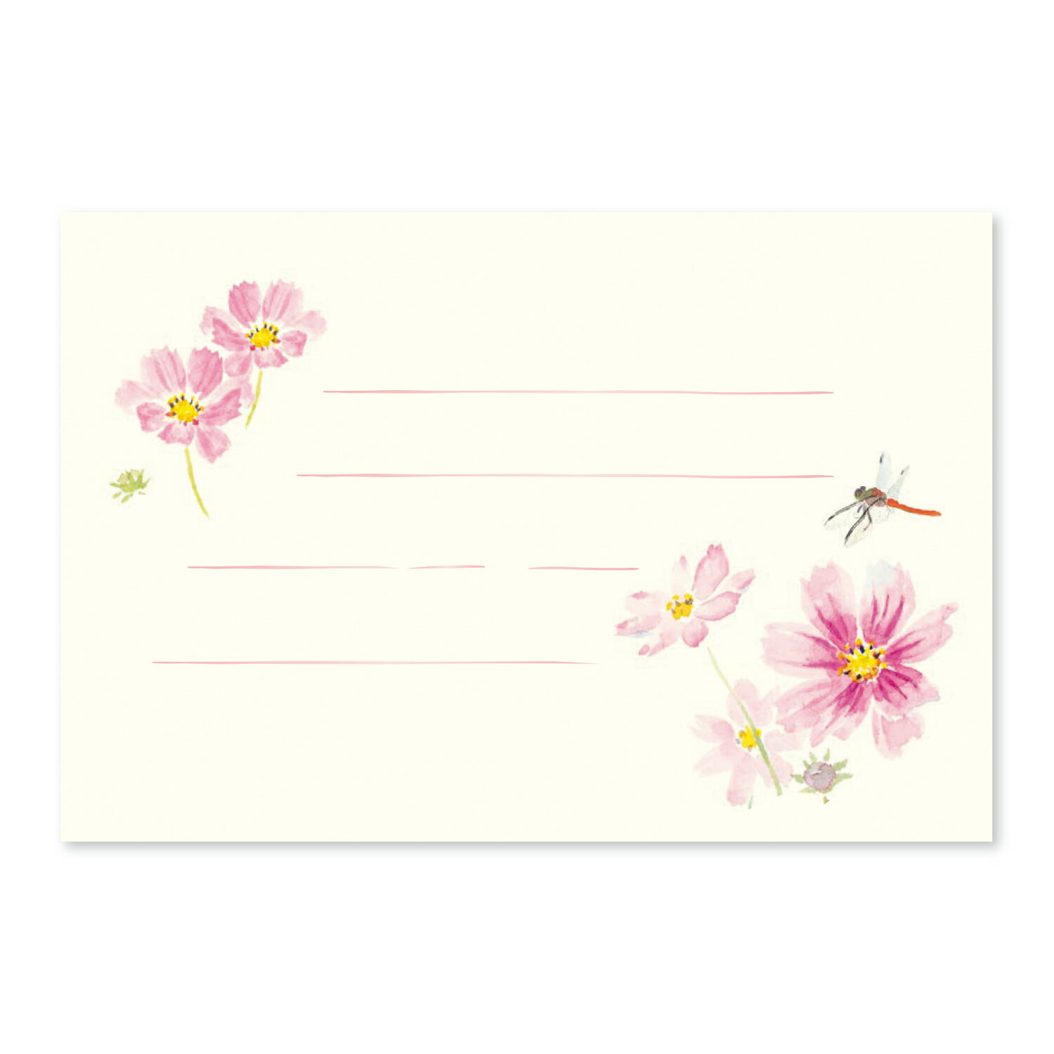 ս Ϥ » ⥹  ֤Ȥ  ݥȥ  å|γϤνϥ⥹ȤȤ