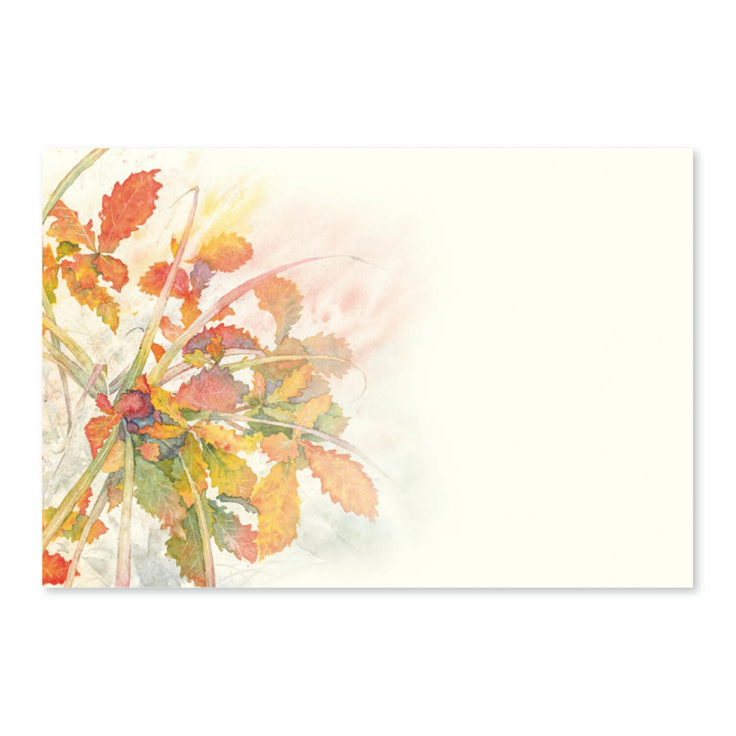 ս Ϥ »  ݥȥ  å   Τ餻 POP|γϤνϽΤ