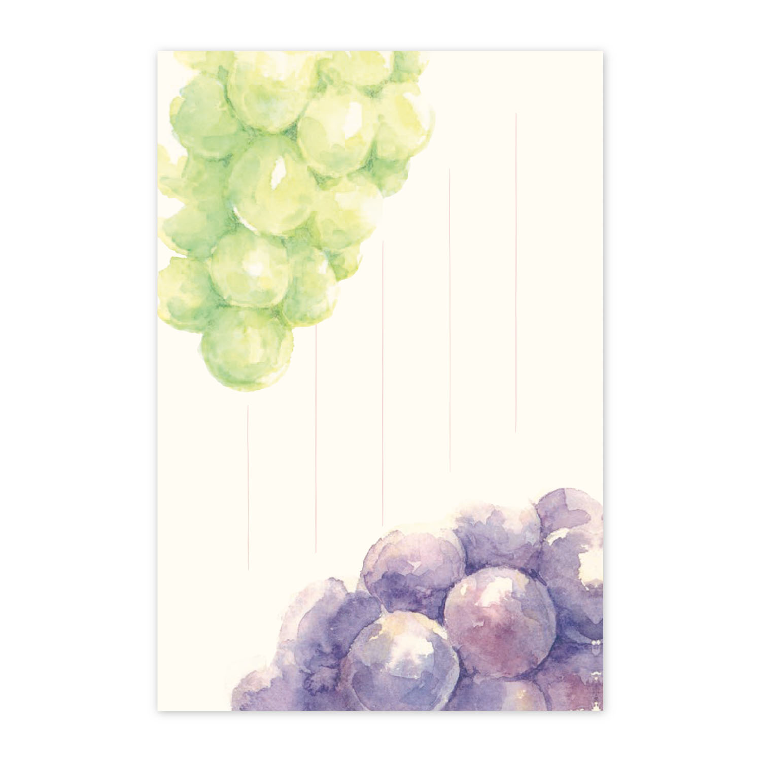 絵葉書 ぶどう 巨峰 シャインマスカット お礼 はがき ポストカード 和紙 ぶどう狩り お礼状 手紙 ハガキ 残暑見舞い お中元 添え状 贈り物 果物 お見舞い...
