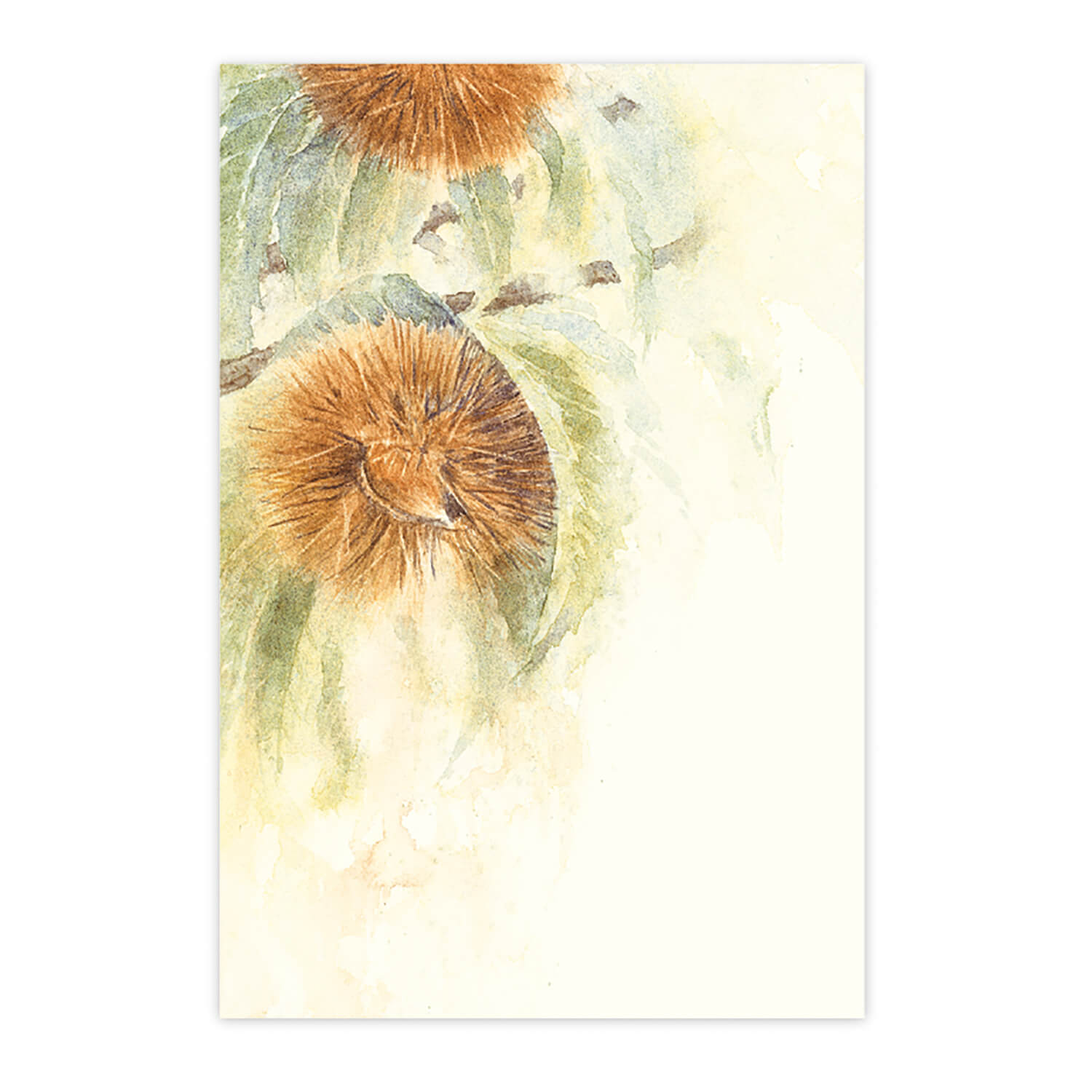 ս  ݥȥ »  Ϥ  ̣  å ƥꥢ  ե|γϤνϤ