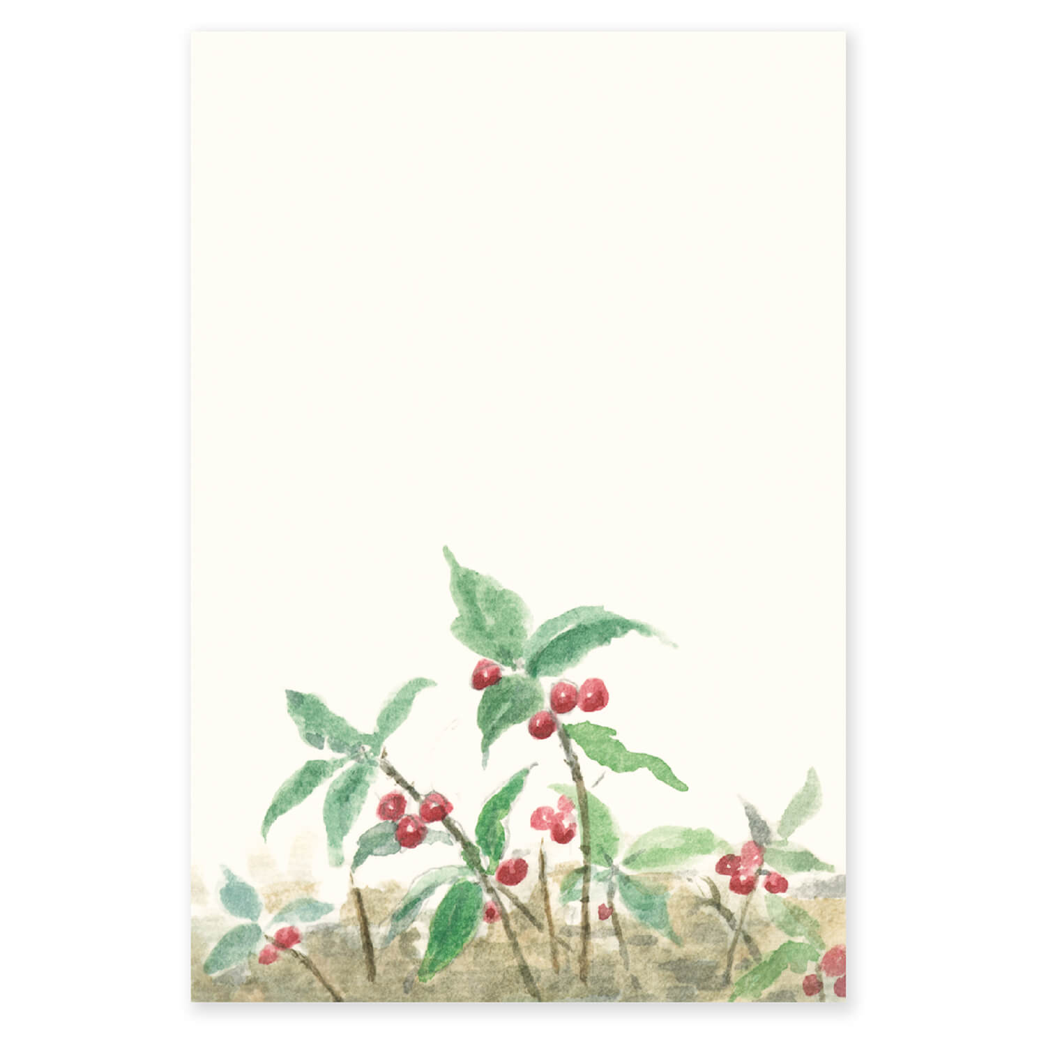 絵葉書 はがき 和紙 十両 薮柑子 ヤマタチバナ ポストカード 手紙 お便り 挨拶状 お礼状 案内 寒中御見舞い お歳暮 送り状 ハガキ 葉書 | 季節の絵はがき［冬］藪柑子のサムネイル