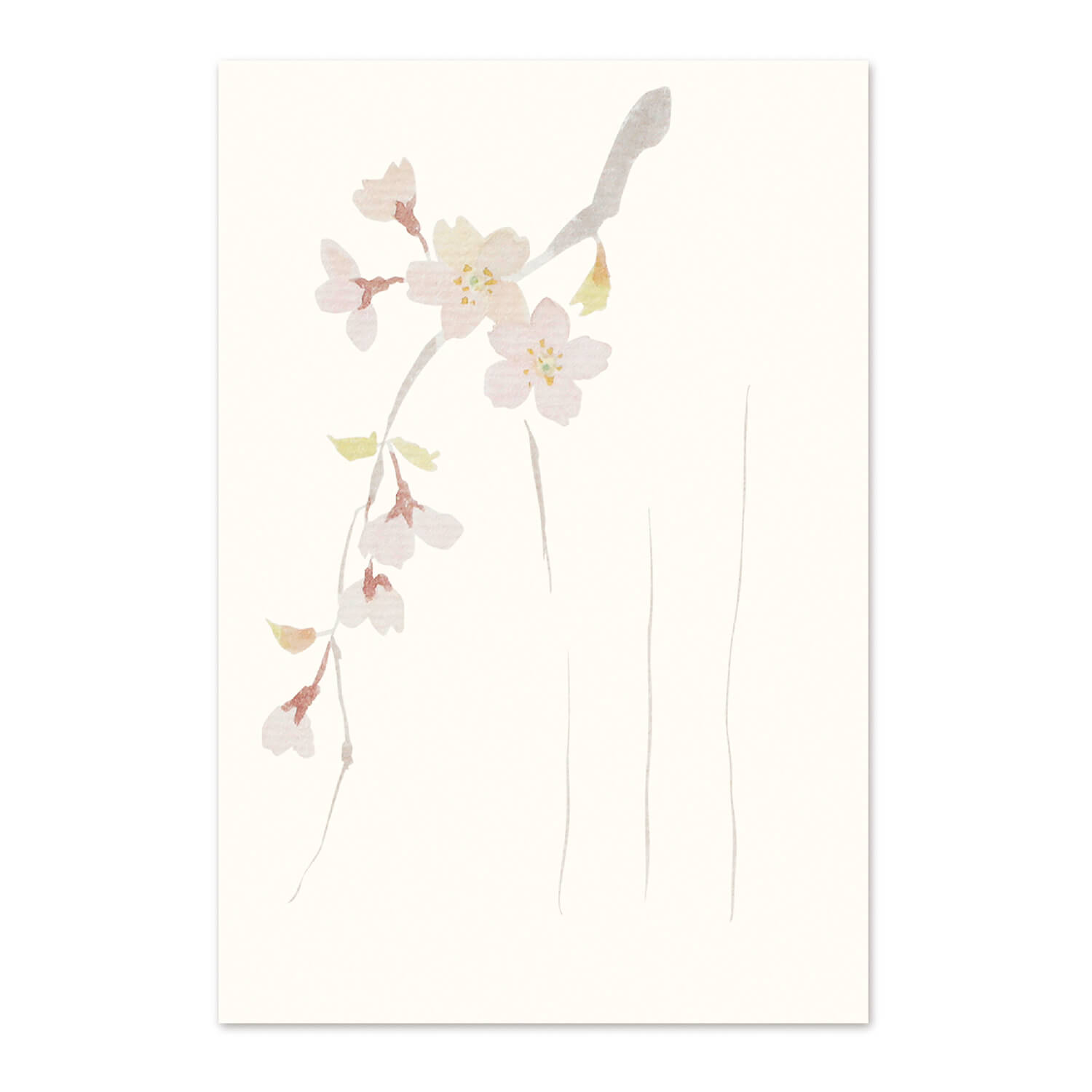 絵葉書 和紙 枝垂桜 さくら 桜 満開 お花見 はがき 罫線あり ポストカード ハガキ 手紙 日本製 挨拶状 メッセージカード サクラ 退職 ご挨拶 受験 合格...